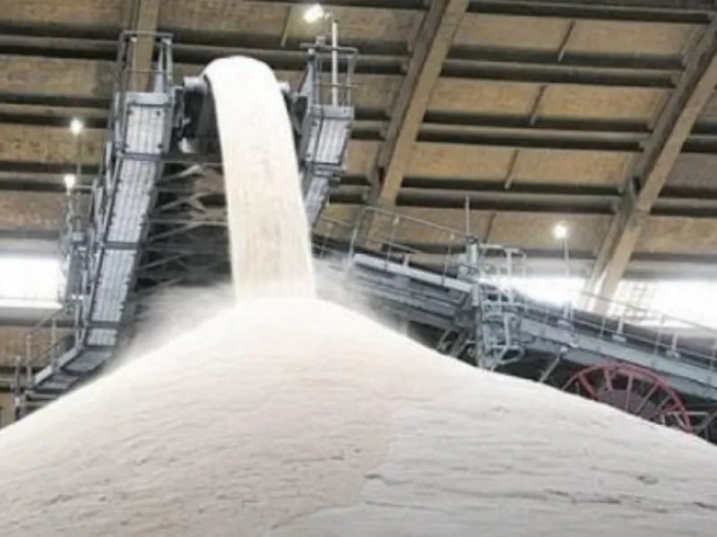 Exportação de açúcar pelo Brasil totaliza 1,094 mi de t em 6 dias de março; média diária quase 130% maior ante 2023