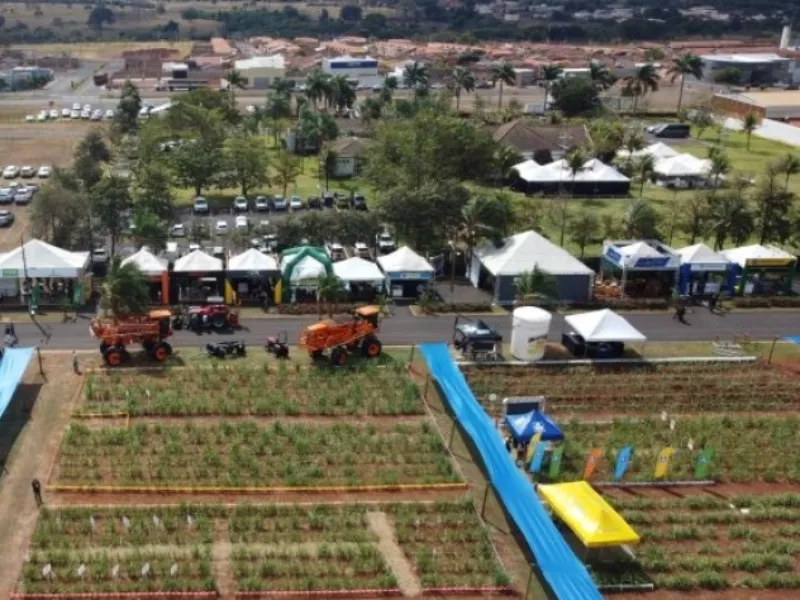 CADI da Canacampo volta com a cana-de-açúcar para patrocinadores da Megacana360