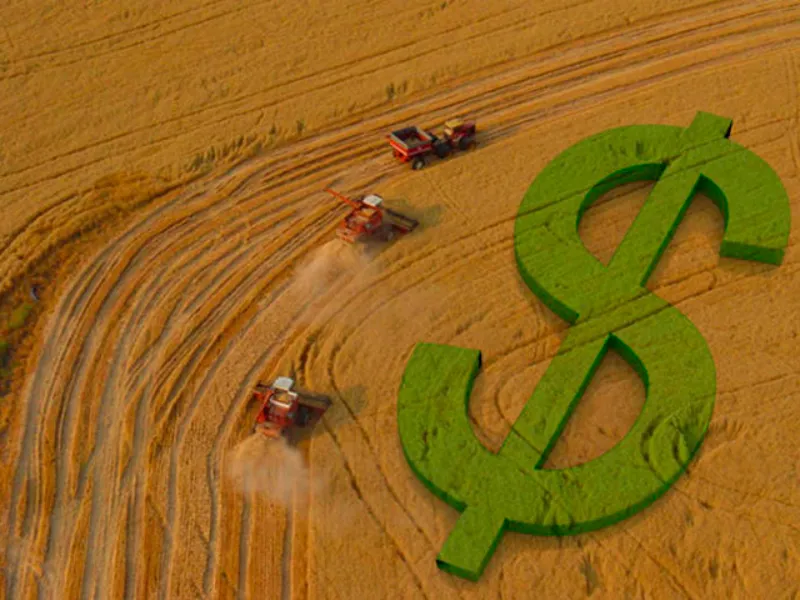 Reforma tributária acende alerta para o agronegócio: possível alta nos custos e impacto em toda a cadeia Reforma tributária acende alerta para o agronegócio: possível alta nos custos e impacto em toda a cadeia