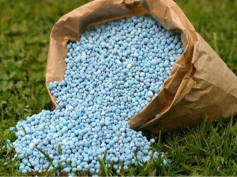 Fertilizantes em alta desafiam planejamento rural Fertilizantes em alta desafiam planejamento rural