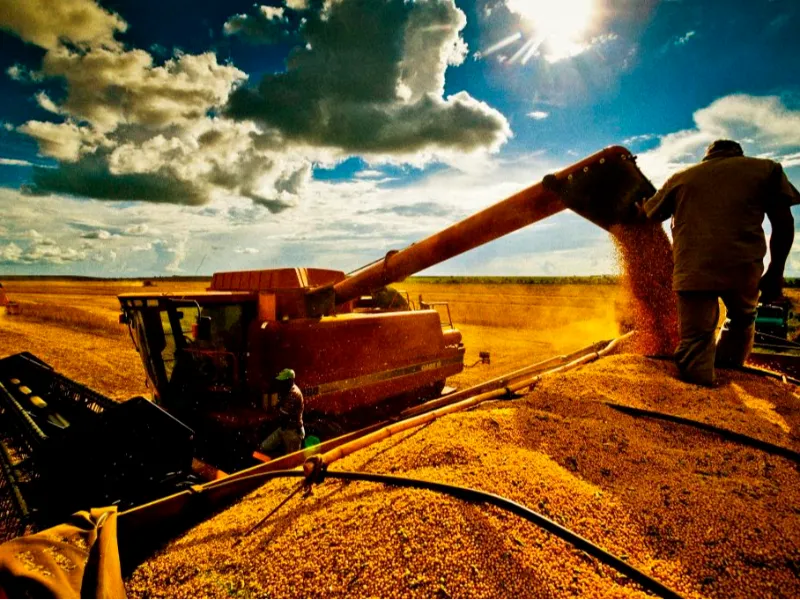 Quase lá! Brasil se aproxima do fim da colheita de soja; confira os números