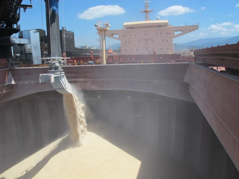 Déficit global de açúcar deve crescer, segundo a Organização Internacional (ISO)