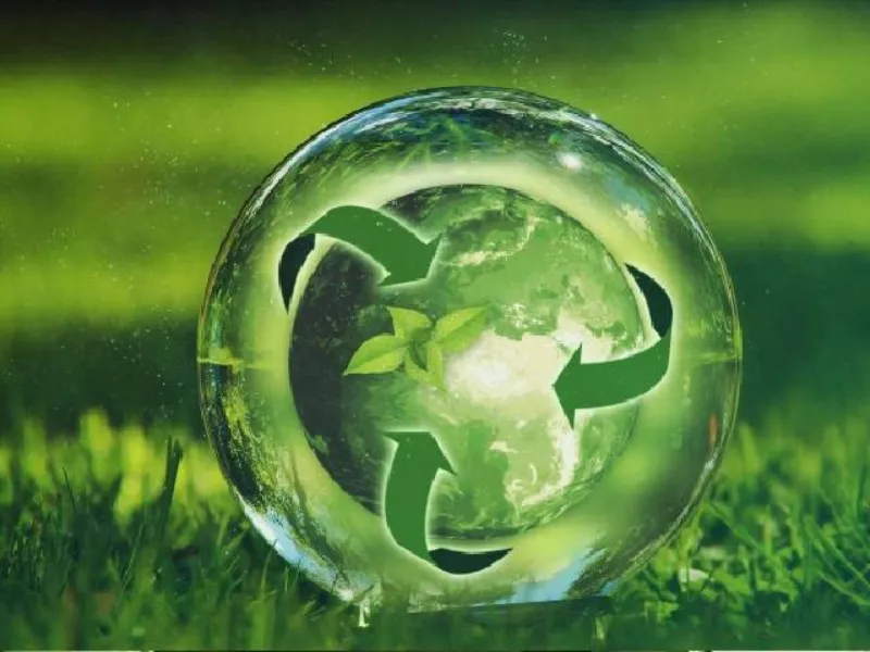 Como os biocombustíveis são estratégicos também para a geração de eletricidade