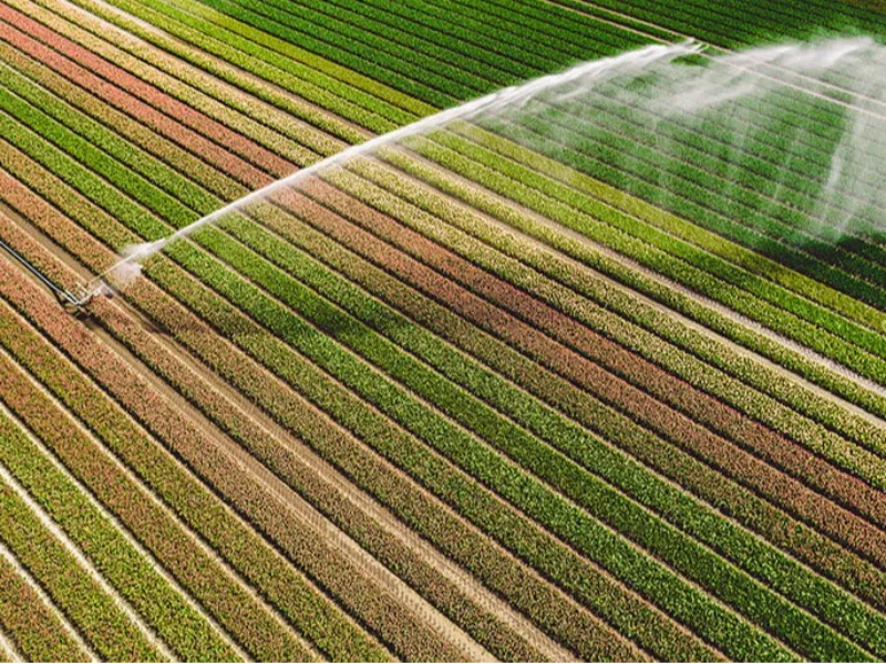 Irrigação e armazenagem necessitam de R$ 25 bi ao ano do Plano Safra, diz Abimaq