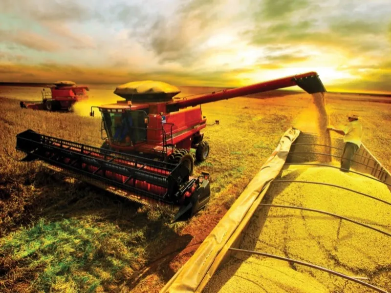 Irã versus Israel agita mercado de soja e safra do grão cresce mais de 14%