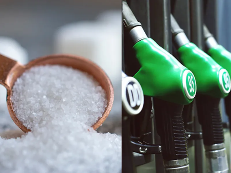 Menor qualidade da cana reduz produção de açúcar e etanol nesta safra