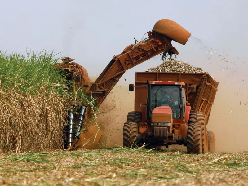 Produtividade da cana no Centro-Sul cai 12% em maio, aponta CTC - Centro de Tecnologia Canavieira