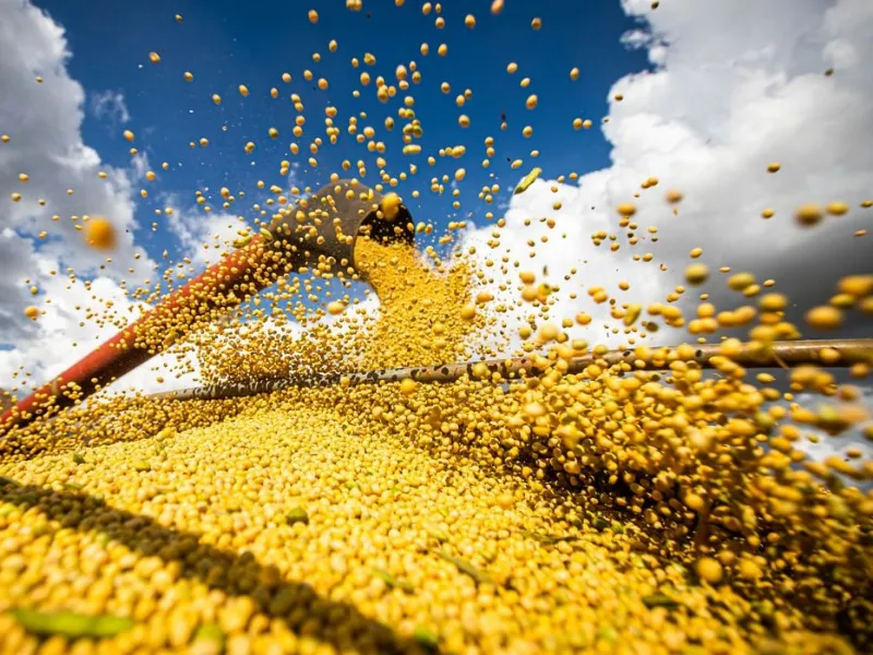 Plano Safra: setor vê gargalos na execução e alerta para juros elevados