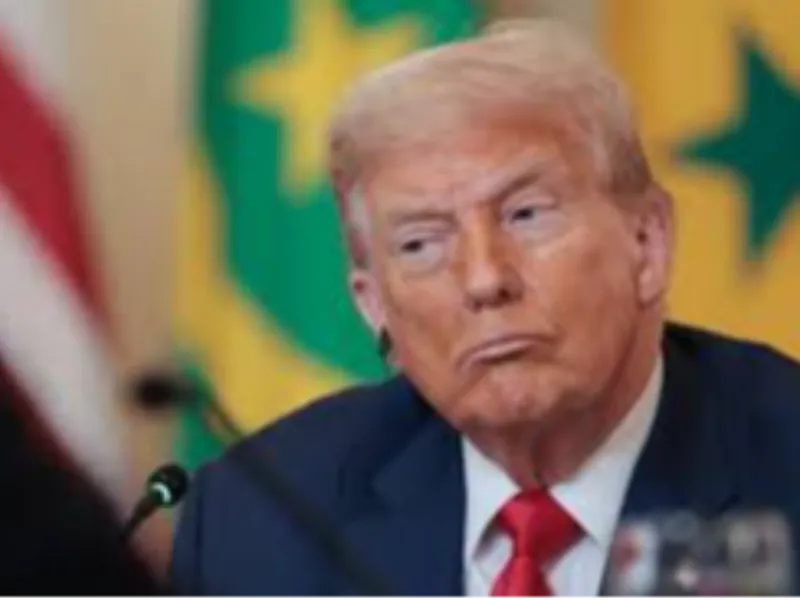 Produtos florestais, carnes, café devem ser os mais afetados por tarifaço de 50% de Trump no agronegócio, diz FPA