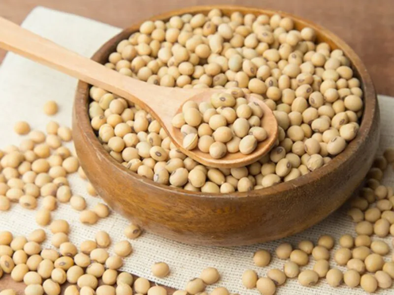 CEPEA/ABIOVE: Com safra recorde e avanço do processamento, PIB da cadeia da soja e do biodiesel deve ter forte expansão em 2025