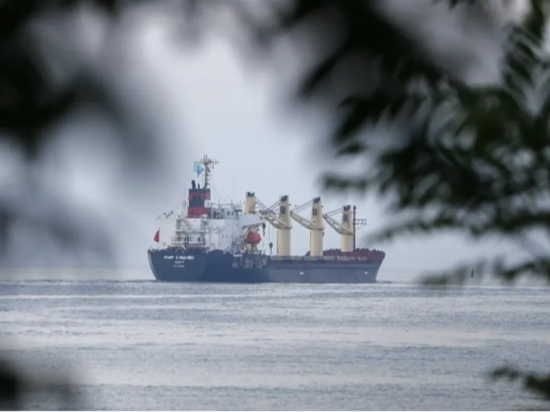 Importar defensivos dos EUA pode virar um problema