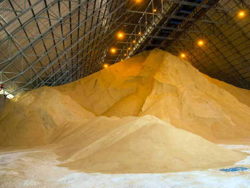 “Deveremos ter uma safra global de açúcar superavitária em 2025/26”, diz Pedro Mizutani, da Czarnikow