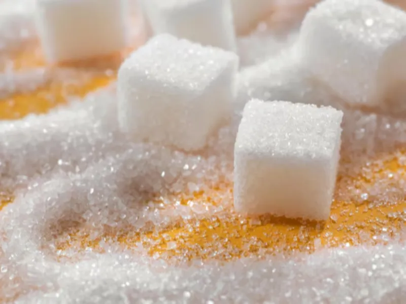 Exportações de açúcar do Brasil para os EUA caem 88% em agosto após tarifas