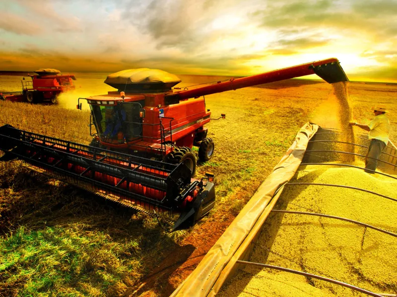 Agro bate recorde: 590 diferentes produtos agropecuários mineiros foram enviados para 174 países