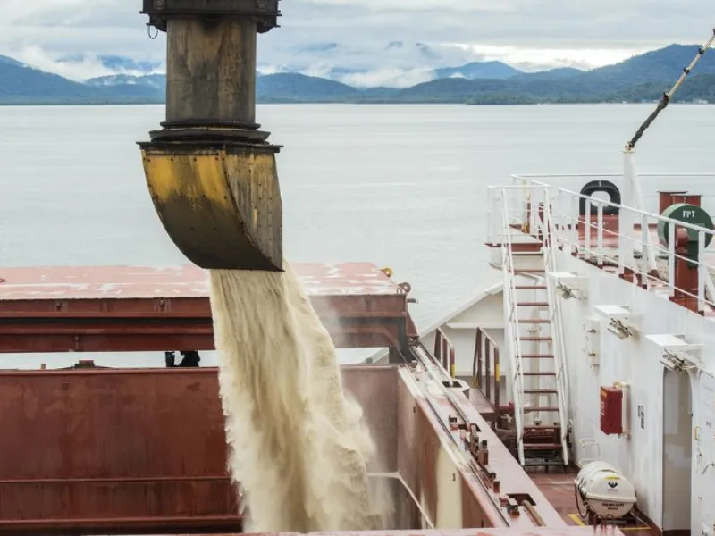 StoneX projeta superávit global de 2,8 milhões de toneladas de açúcar em 2025/26