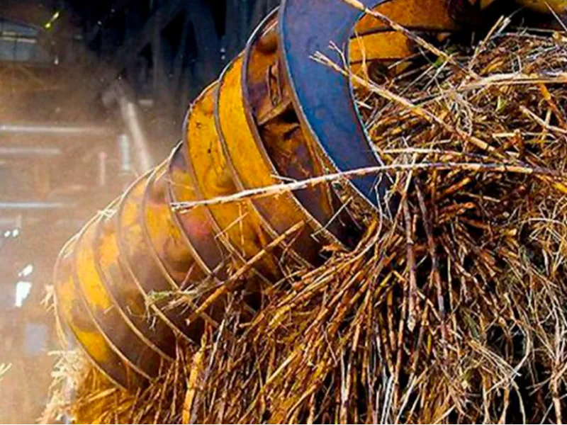 Moagem de cana no Centro-Sul deve crescer 3,6% em 2026/27, segundo StoneX