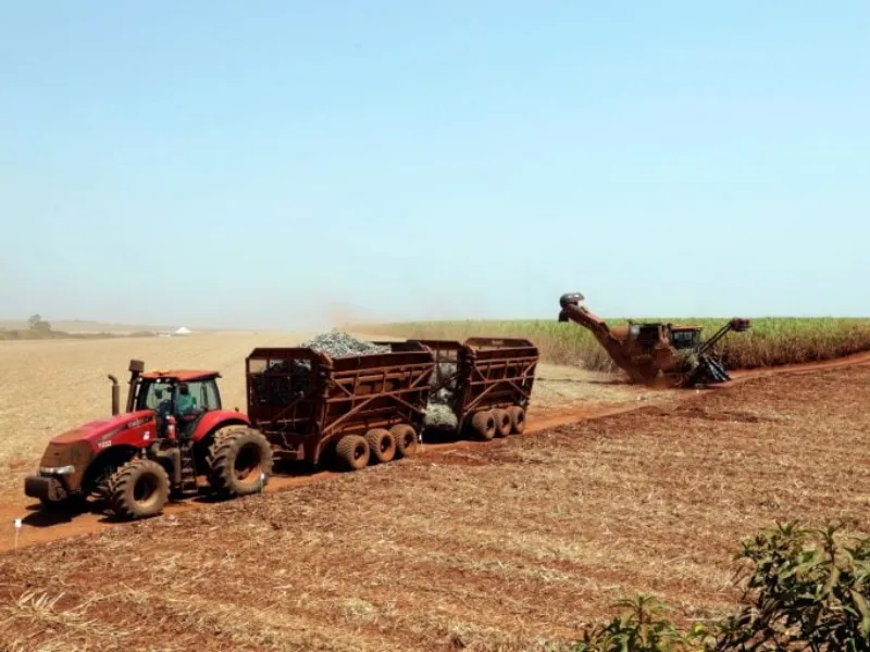 Com açúcar pressionado e etanol em alta, usinas podem reavaliar mix no final de safra