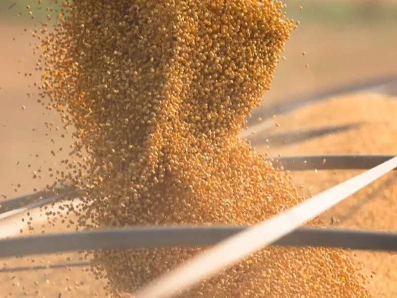 Cade mantém medidas da Moratória da Soja