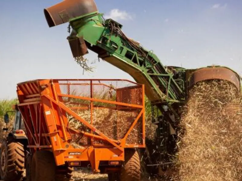 Atualização da safra de cana-de-açúcar 2025/26 – 1ª quinzena de setembro