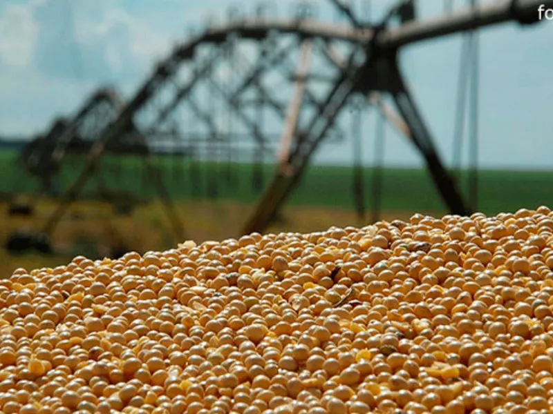 Brasil forneceu quase 90% da soja importada pela China em 2025
