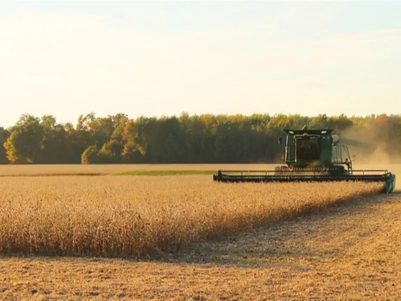Preços da soja sobem com expectativa recorde de produção