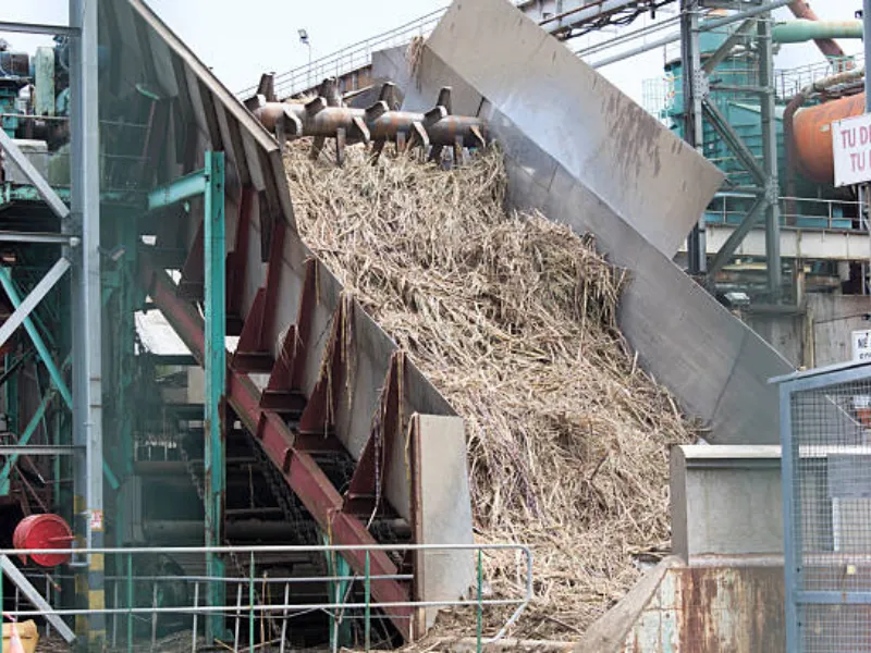 [Unica] Atualização da safra de cana-de-açúcar 2025/26 – 2ª quinzena de setembro