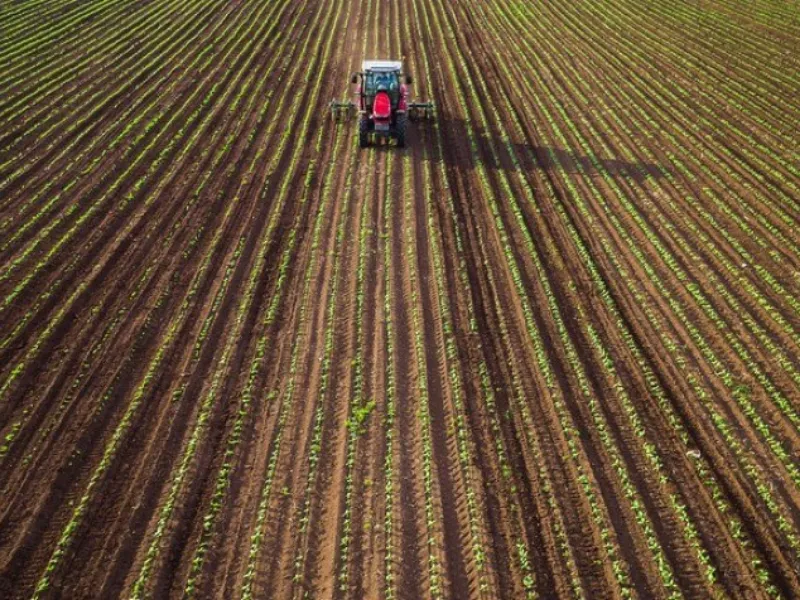 Soja avança para 36% do plantio no Brasil, mas Cerrado segue em alerta por falta de chuva
