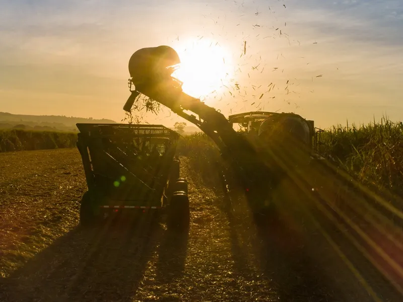 [Unica] Atualização da safra de cana-de-açúcar 2025/26 – 1ª quinzena de outubro