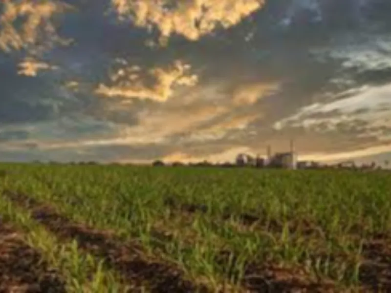 Em nova resolução, PAC prevê três projetos sucroenergéticos e exclui usina de E2G