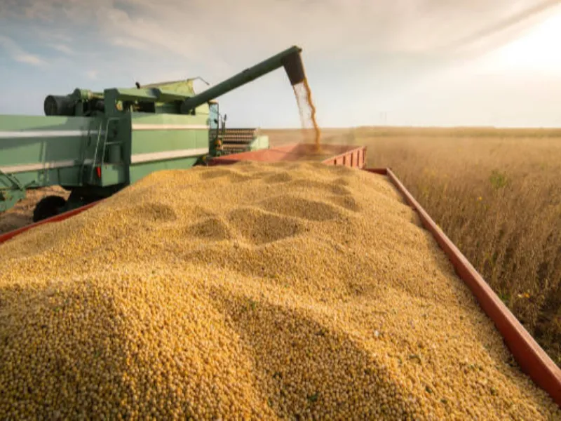 Soja intensifica altas, renova máximas e já se aproxima dos US$ 12 nos vencimentos mais longos