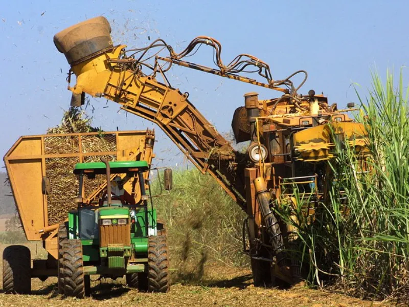 Produtividade da cana cresce 4,3% no Centro-Sul em outubro, mostra boletim do CTC