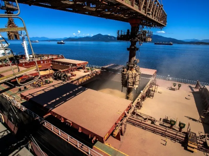 China amplia compras de soja da América do Sul e reduz dependência dos EUA em 2025