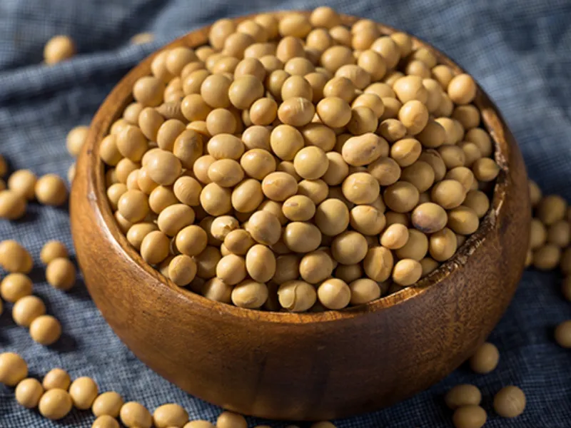 Brasil deve bater recorde de produção de soja em 2026