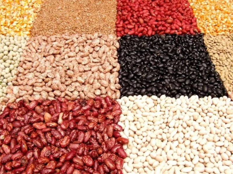 Exportações brasileiras de pulses avançam 30% em 2025