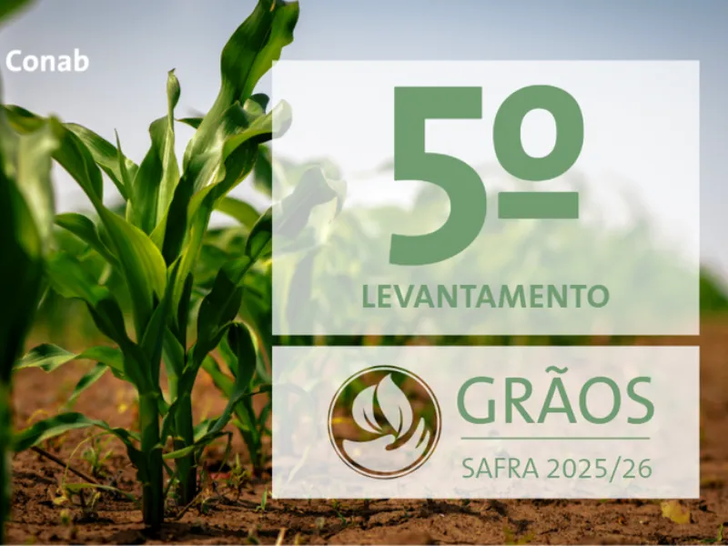 Produção de grãos é estimada em 353,4 milhões de toneladas em 2025/26 com início da colheita das culturas de primeira safra