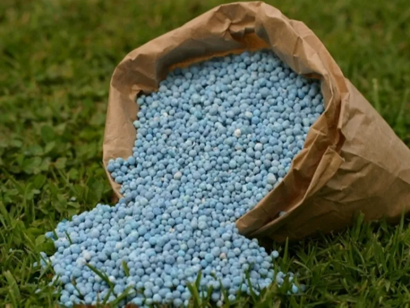 Preços de fertilizantes avançam no Brasil