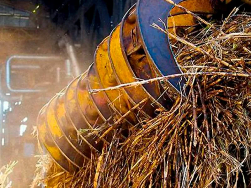 Vendas de etanol, moagem: saiba como vai a safra no Centro-Sul