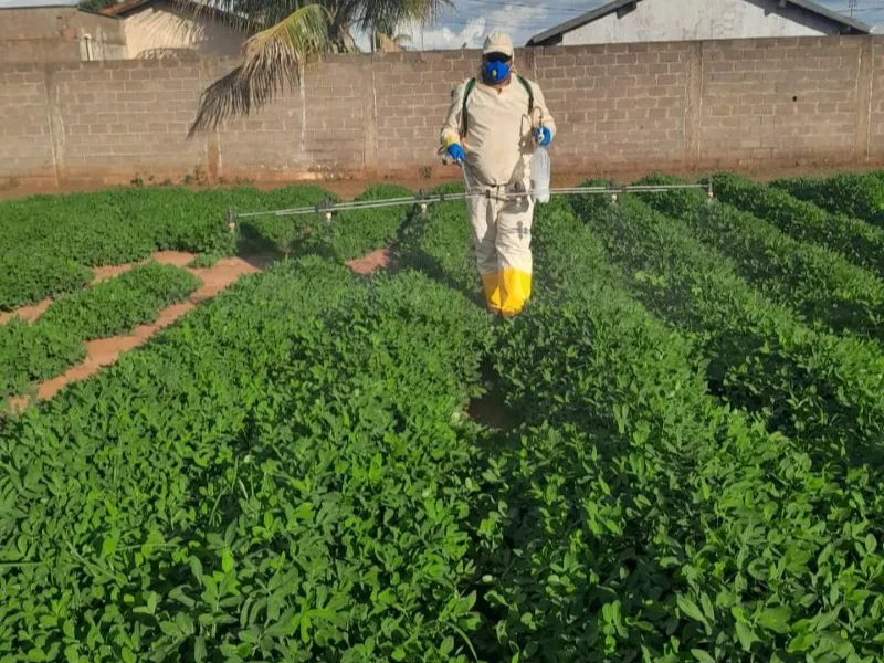 Megacana Tech Show abre ciclo 2026 com 1º Meeting focado em Cana e Amendoim