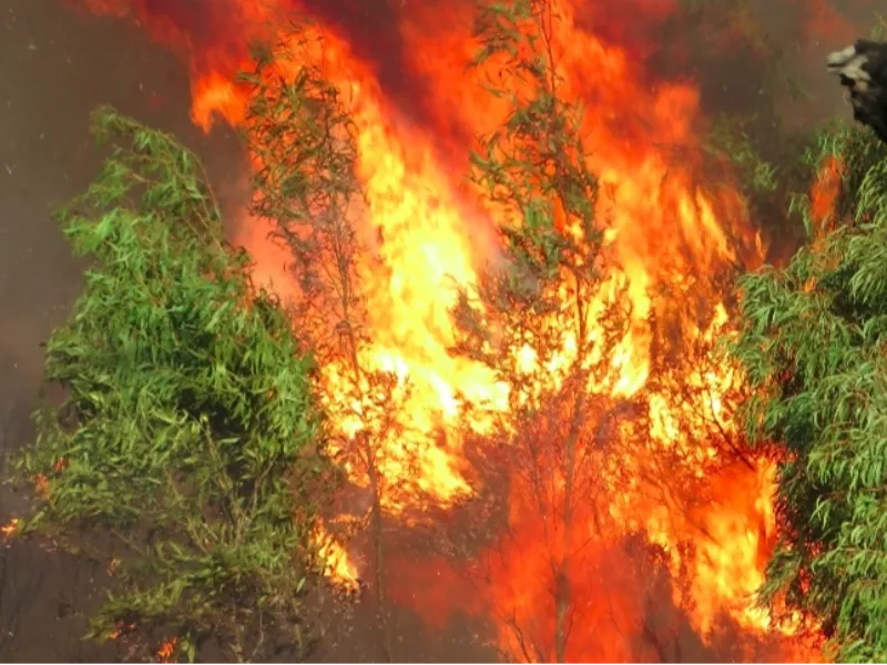 Governo divulga planejamento para enfrentar incêndios em 2026