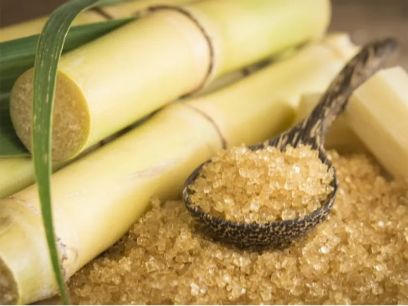 IAC recomenda estratégias de manejo na cana para aumento da produtividade agroindustrial