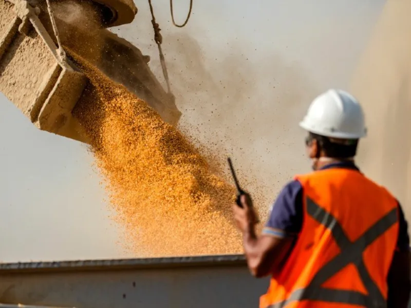 Soja recua no Brasil mesmo com exportações em alta e avanço da colheita